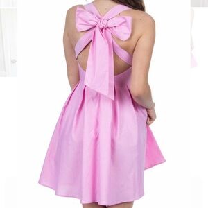 Lauren James Livingston Dress in Pink Oxford with Bow Back